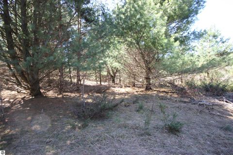 Tiny photo for 00 Maple View Drive, Central Lake, MI 49662 (MLS # 1944696)