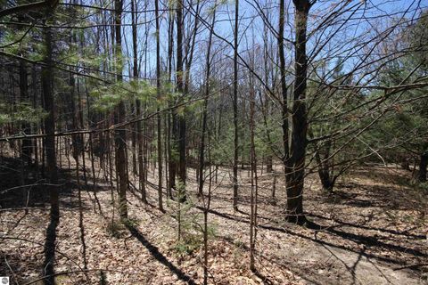 Tiny photo for 00 Maple View Drive, Central Lake, MI 49662 (MLS # 1944696)