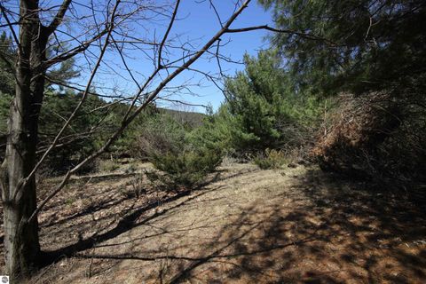 Tiny photo for 00 Maple View Drive, Central Lake, MI 49662 (MLS # 1944696)