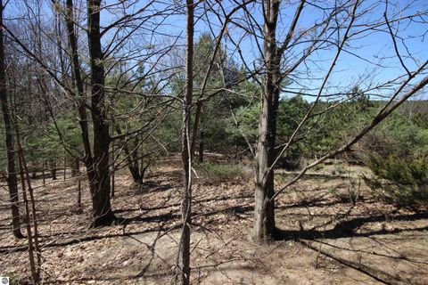 Tiny photo for 00 Maple View Drive, Central Lake, MI 49662 (MLS # 1944696)