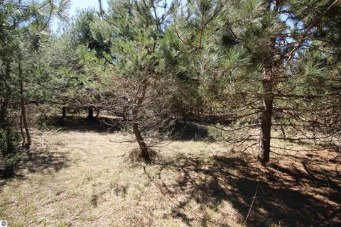 Tiny photo for 00 Maple View Drive, Central Lake, MI 49662 (MLS # 1944696)