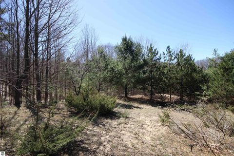 Tiny photo for 00 Maple View Drive, Central Lake, MI 49662 (MLS # 1944696)