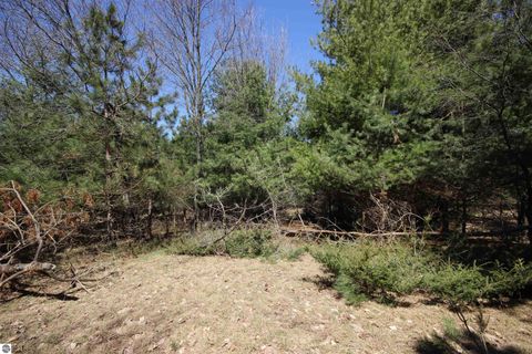 Tiny photo for 00 Maple View Drive, Central Lake, MI 49662 (MLS # 1944696)