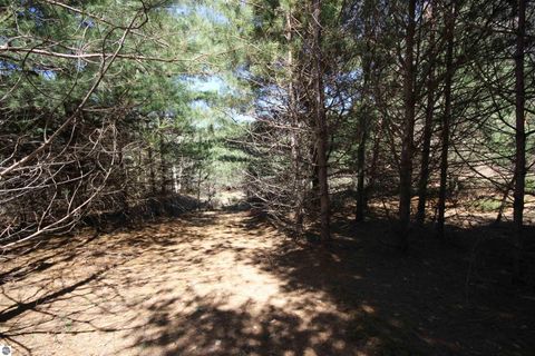 Tiny photo for 00 Maple View Drive, Central Lake, MI 49662 (MLS # 1944696)