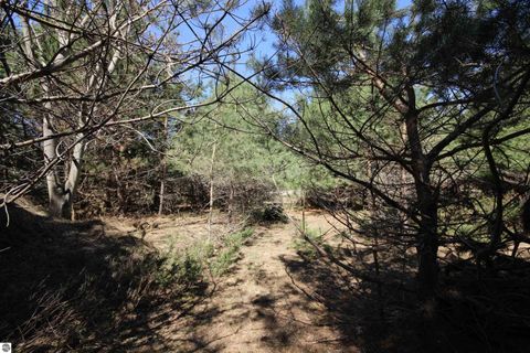 Tiny photo for 00 Maple View Drive, Central Lake, MI 49662 (MLS # 1944696)