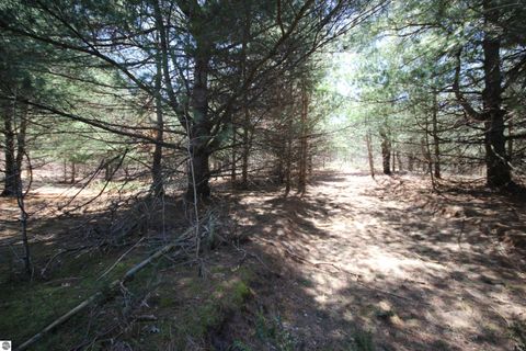 Tiny photo for 00 Maple View Drive, Central Lake, MI 49662 (MLS # 1944696)