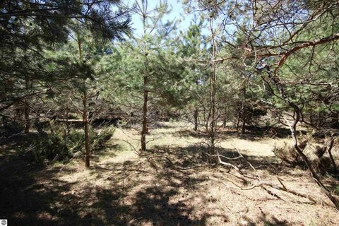 Tiny photo for 00 Maple View Drive, Central Lake, MI 49662 (MLS # 1944696)