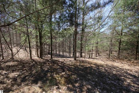 Tiny photo for 00 Maple View Drive, Central Lake, MI 49662 (MLS # 1944696)