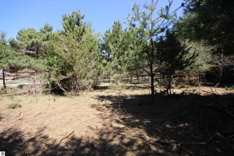 Tiny photo for 00 Maple View Drive, Central Lake, MI 49662 (MLS # 1944696)