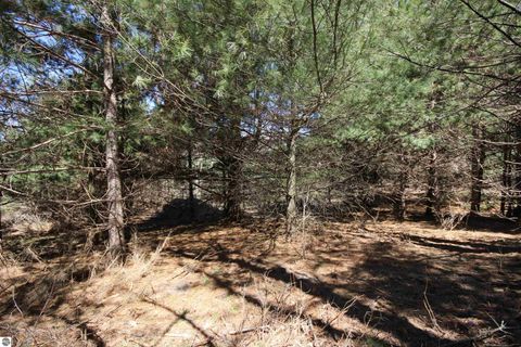 Tiny photo for 00 Maple View Drive, Central Lake, MI 49662 (MLS # 1944696)