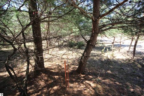 Tiny photo for 00 Maple View Drive, Central Lake, MI 49662 (MLS # 1944696)