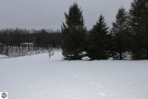 Tiny photo for 72 NW Wood Road, Rapid City, MI 49676 (MLS # 1942479)