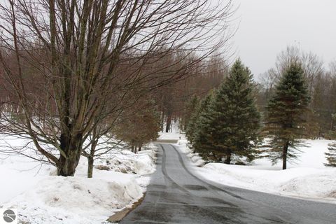 Tiny photo for 72 NW Wood Road, Rapid City, MI 49676 (MLS # 1942479)