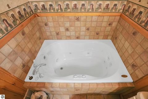 Tiny photo for 3398 E 16 Road, Manton, MI 49663 (MLS # 1943876)