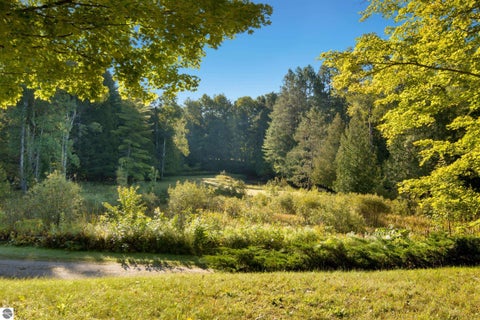 Tiny photo for 15172 Clark's Mill Road, Interlochen, MI 49643 (MLS # 1950615)
