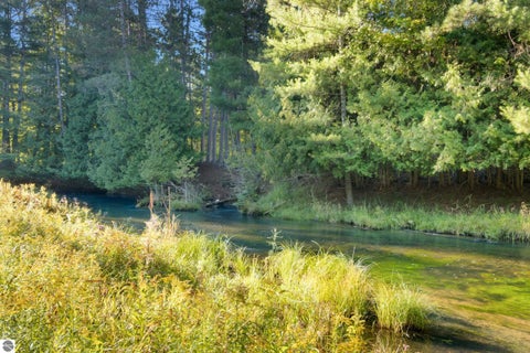 Tiny photo for 15172 Clark's Mill Road, Interlochen, MI 49643 (MLS # 1950615)