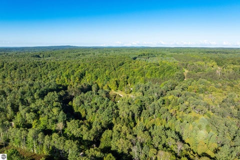 Tiny photo for 15172 Clark's Mill Road, Interlochen, MI 49643 (MLS # 1950615)