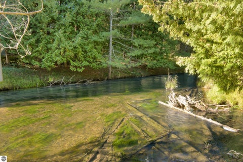 Tiny photo for 15172 Clark's Mill Road, Interlochen, MI 49643 (MLS # 1950615)