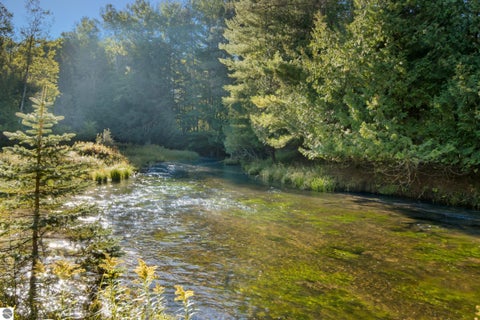 Tiny photo for 15172 Clark's Mill Road, Interlochen, MI 49643 (MLS # 1950615)