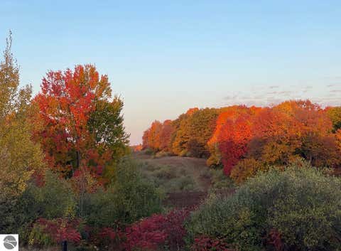 Tiny photo for 3186 Lake George Road, West Branch, MI 48661 (MLS # 1948377)