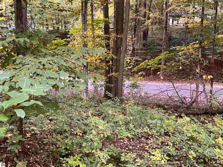 Photo 1 of 9 — Lot 71 Birch View Trail, Lake Ann, MI 49650