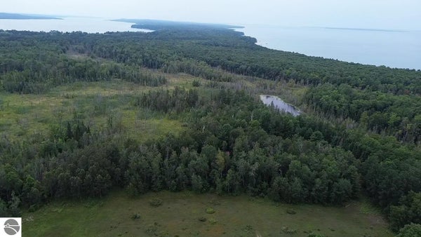 LORE RD, ELLSWORTH, MI 49729 - Image fc35aba0b2abf4df225e8ddce4d396ac/77452130