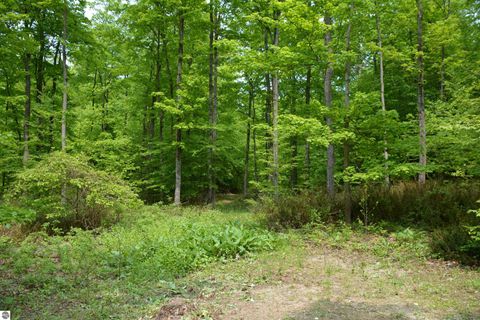 Tiny photo for 2481 S Schomberg Road, Lake Leelanau, MI 49653 (MLS # 1943175)