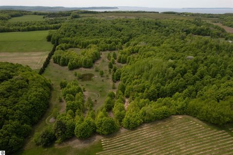 Tiny photo for 2481 S Schomberg Road, Lake Leelanau, MI 49653 (MLS # 1943175)