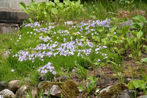 Tiny photo for 2481 S Schomberg Road, Lake Leelanau, MI 49653 (MLS # 1943175)