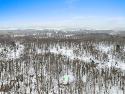 Tiny photo for 138 W Ridge Circle, Leroy, MI 49655 (MLS # 1941903)