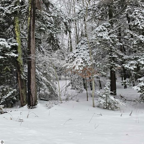 Tiny photo for 0 N Knollwood Drive, Northport, MI 49670 (MLS # 1942582)