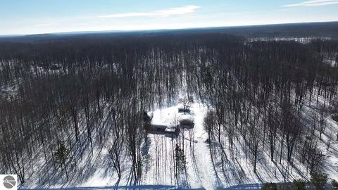Tiny photo for 5884 Scholl Road, Mancelona, MI 49659 (MLS # 1942284)