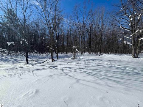 Tiny photo for 5884 Scholl Road, Mancelona, MI 49659 (MLS # 1942284)
