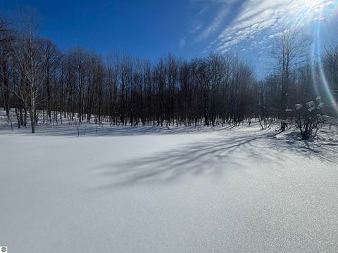 Tiny photo for 5884 Scholl Road, Mancelona, MI 49659 (MLS # 1942284)