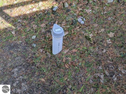 Tiny photo for 3698 Chippewa Drive, Glennie, MI 48737 (MLS # 1943888)