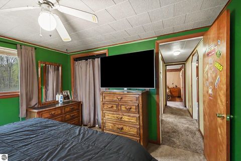 Tiny photo for 280 N Sage Lake Road, Hale, MI 48739 (MLS # 1945125)