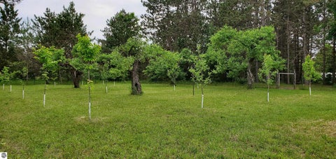 Tiny photo for 493 NE County Road 571, Kalkaska, MI 49646 (MLS # 1944491)