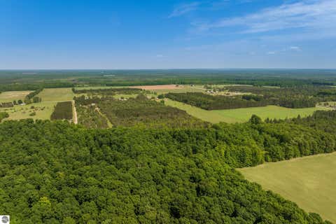 Tiny photo for 493 NE County Road 571, Kalkaska, MI 49646 (MLS # 1944491)
