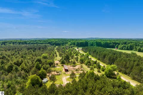 Tiny photo for 493 NE County Road 571, Kalkaska, MI 49646 (MLS # 1944491)