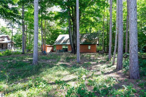 Tiny photo for 12132 Crystal Mountain Drive, Thompsonville, MI 49683 (MLS # 1948512)