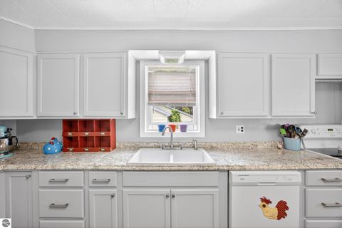 Tiny photo for 415 Crippen Street, Cadillac, MI 49601 (MLS # 1946547)