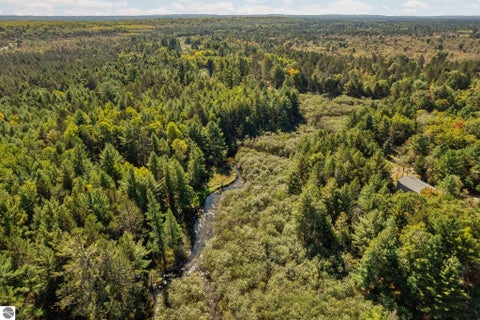 Tiny photo for 1963 W Karen Lake Road, Grayling, MI 49738 (MLS # 1951454)