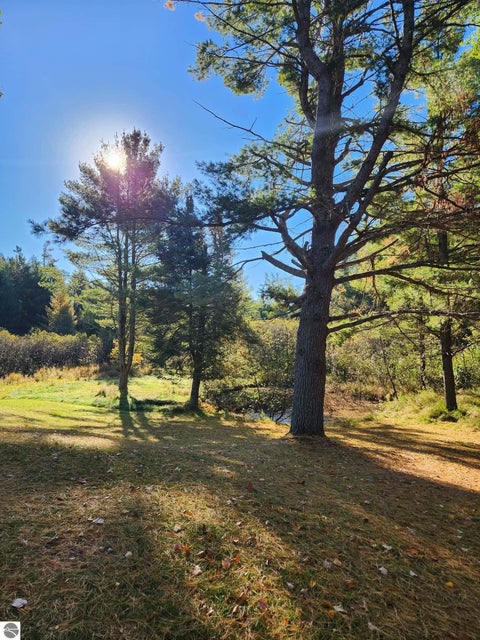 Tiny photo for 1963 W Karen Lake Road, Grayling, MI 49738 (MLS # 1951454)