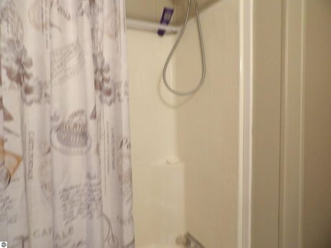 Tiny photo for 378 Thistlewood Drive, Cadillac, MI 49601 (MLS # 1943184)