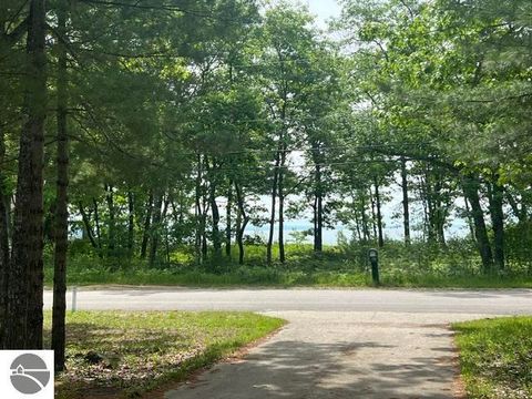 Tiny photo for 13023 N Forest Beach Shores, Northport, MI 49670 (MLS # 1947091)