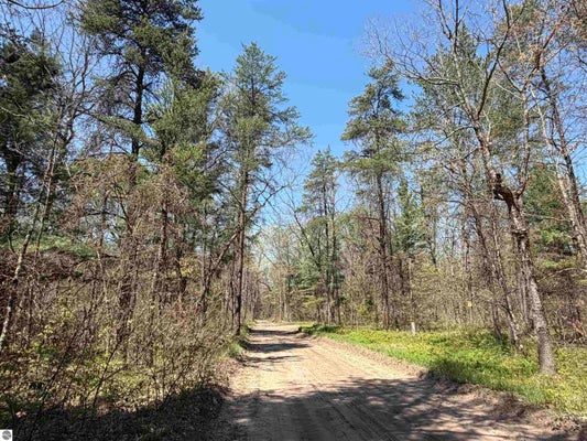 E GLADYS ST, IDLEWILD, MI 49642 - Image feee38ca9db228a8f053c51518ef93f3/1096516792