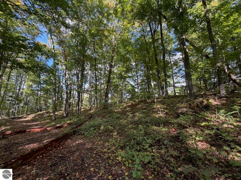 Featured picture for the property 1951542