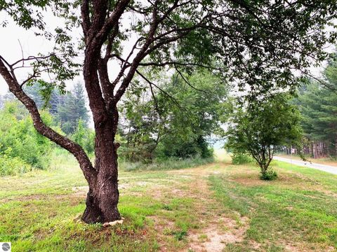 Tiny photo for 1406 SW M-66, Kalkaska, MI 49646 (MLS # 1948070)