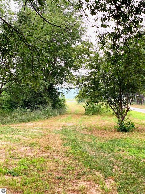 Tiny photo for 1406 SW M-66, Kalkaska, MI 49646 (MLS # 1948070)