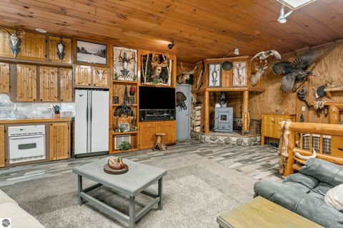 Tiny photo for 11486 Old US Hwy 131, Fife Lake, MI 49633 (MLS # 1945083)